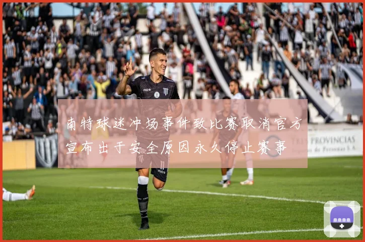 南特球迷冲场事件致比赛取消官方宣布出于安全原因永久停止赛事