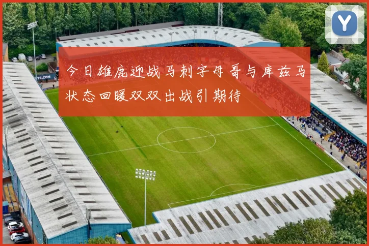 今日雄鹿迎战马刺字母哥与库兹马状态回暖双双出战引期待
