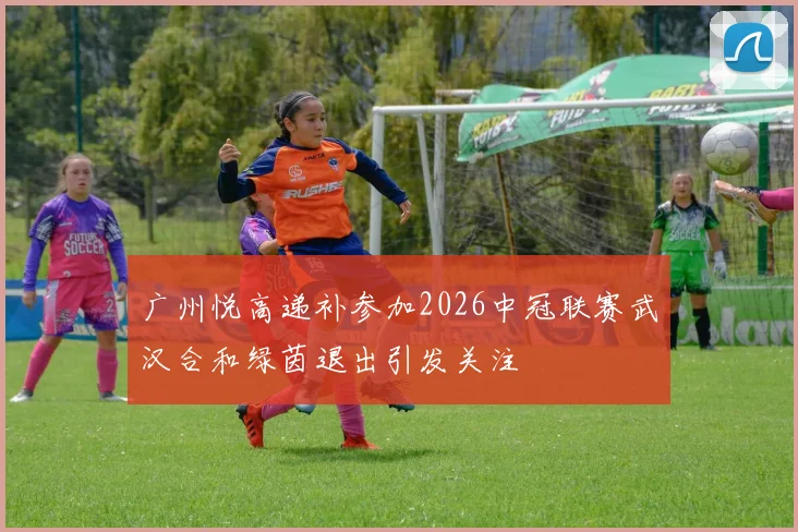广州悦高递补参加2026中冠联赛武汉合和绿茵退出引发关注